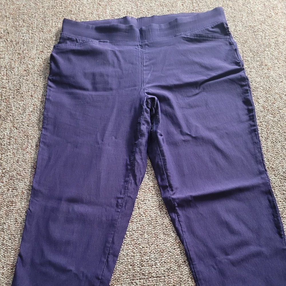 🩵 Navy Ankle Pants (Petite)
